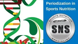 Periodization in Sports Nutrition