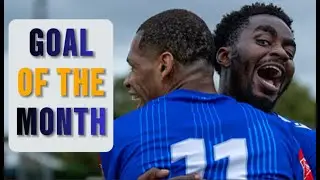 WHICH Is Your Favourite? August Goal of the Month