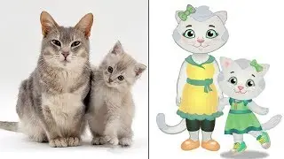 Daniel Tiger's Neighborhood In Real Life - Zilo Cartoons