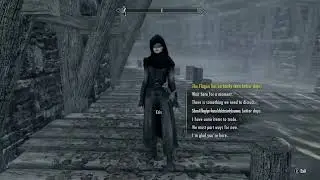 Eris (Light and Shade) discussing the thieves guild
