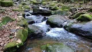 ASMR River Sounds for Sleep, Relaxation & Focus | No Talking Nature Ambience 🌿💤