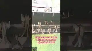 Remote operated compact tool transporter China manufacturer factory distributor #lawnmower #grass