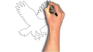 Draw an Eagle Hunting Birds in One Line | Easy Minimalist Predator Art Tutorial