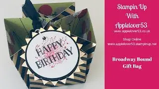 Stampin Up Broadway Bound Gift Bag