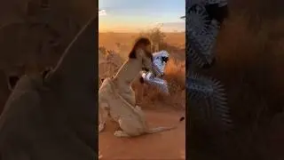 Spiked Monkey vs Lion Pride 🐒🦁 (He Wrestled With The King)
