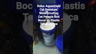 Dulux Aquashield #catpelapisantibocor #tahancuaca #elastis