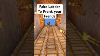 How to make a fake ladder in MInecraft?