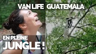 #13 FRONTI&Egrave;RE du Guatemala | JUNGLE et ANIMAUX SAUVAGES | Van Am&eacute;nag&eacute; au Guatemala
