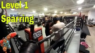 Boxing Level 1 Sparring Amateur Recording 2/19/2024