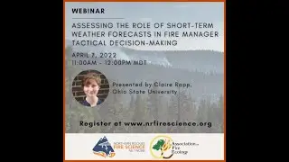 Assessing the role of short-term weather forecasts in fire manager tactical decision-making