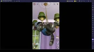 Talking tom cat 2 mod 2.2