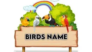 Learn Bird Names | Educational Video for Kids & Beginners #vegtablesname #kidslearningvideo