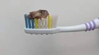 How to Make natural Toothpaste! Dr.Sebi Inspired tooth powder