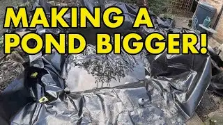 Расширение существующего пруда для диких животных!
