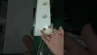 kubba/kibbeh  making machine(shanghai binknag)
