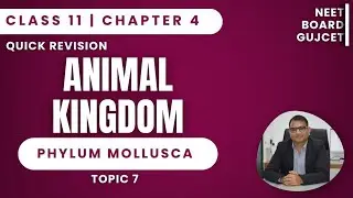 Phylum Mollusca | Class 11 Biology | Animal Kingdom | Quick Revision (NEET 2026)