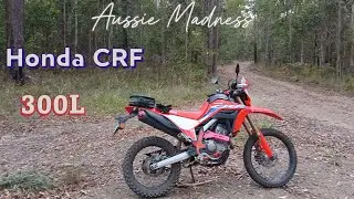 Honda Quick ride and a wet butt #adventurebikes #dirtbikeadventures #crf300l