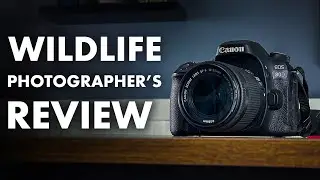 Canon 80D for Wildlife Photography - REVIEW