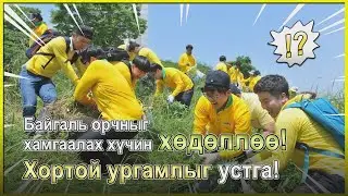 [WeLoveU] Зан Гил Жа тэргүүний Экосистемийг хамгаалах хөдөлгөөн: хорт ургамал устгав