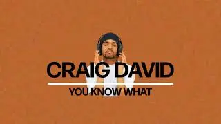 Craig David - You Know What (Loop)