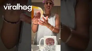 Мед возвращается || ViralHog