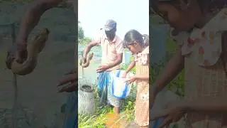 #fishingmethod #fishing #video