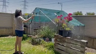 Daily routine after coming back from my holiday: Gardening, restocking.
