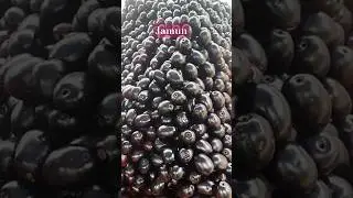 Jamuna #trending #shorts #ytshorts #food #recipe #cooking #foodie #froots #ytshorts #viralvideo