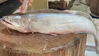 Amazing Wallago Attu ( Malli ) Fish Cutting Skillls In Fish Market Lahore ll Machli Wala