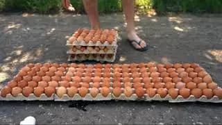 car vs 1000 eggs