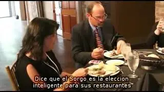 Sorgo, un cereal integral sano - Sorghum Checkoff