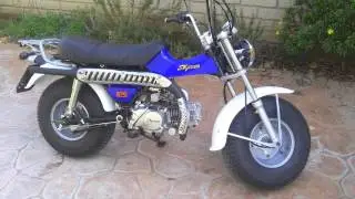 sky team trex 125