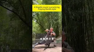 Shaolin Mantis #kungfu #wushufight #martialarts