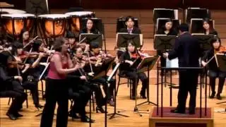 Mozart Clarinet Concerto in A Major KV622 complete