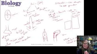 OCR A A-level Biology revision livestream