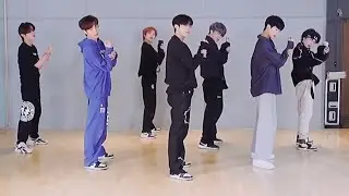 JWiiver-JTRAP(dance practice mirrored)