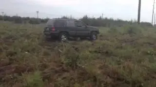 Donuts in a field