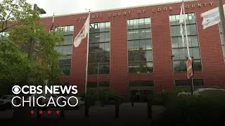 ICE arrests woman at Domestic Violence Courthouse in Chicago, witnesses say