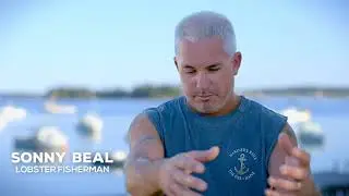 Buy Lobster Online | Live Maine Lobster Delivered | Maine Lobster Tails | Order Cheap Lobster
