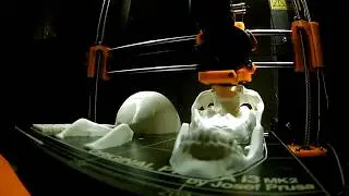 3DKitbash Human Skull Print