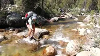 Cactass Crossing Sierra Stream