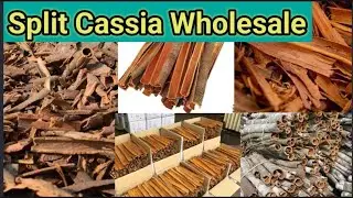 spilt cassia Wholesale business || split Cassia wholesale market || खड़ी लकड़ी मसाला मंडी #cassia