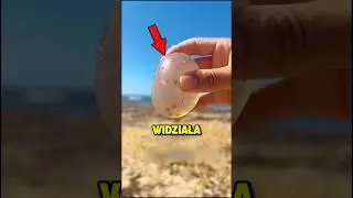 🥚Znalazła te PODEJRZANE jajka!😱🥚