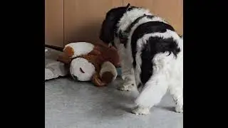 Kenny et son doudou