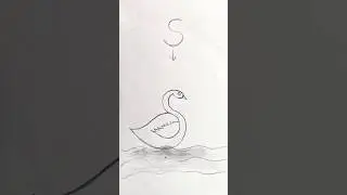 How To Draw Swan In A Easy Method 🦢🦢#art#drawing#viral#trending#ytshorts#subscribe#support #youtube