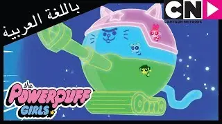 فتيات القوة | بلستينا | كرتون نتورك