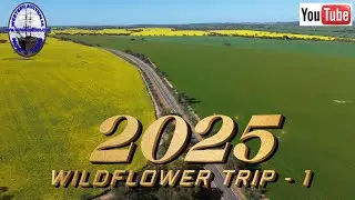 Spring Wildflower trip 2025 - Part 1 - Western Australia