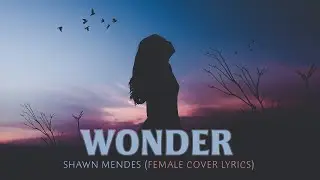Wonder Lyrics Female Version (Girl Cover) (Song by Shawn Mendes)