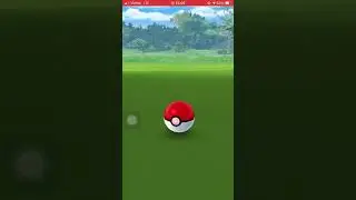 Catch#390 - Chimchar | Pokemon GO