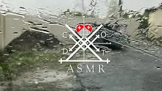 ASMR - Holt Cemetery, New Orleans - 6 Minutes